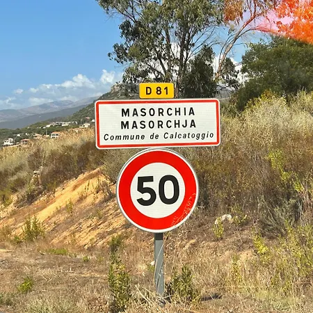 Apartmán La Belle Vie F4 Bord De Avec Jardin Calcatoggio (Corsica)