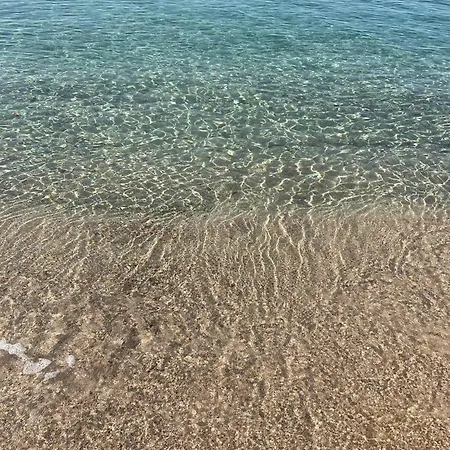 La Belle Vie F4 Bord De Avec Jardin Calcatoggio (Corsica)
