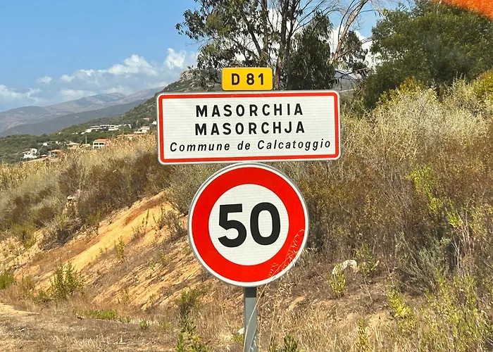 Lejlighed La Belle Vie F4 Bord De Avec Jardin Calcatoggio (Corsica)