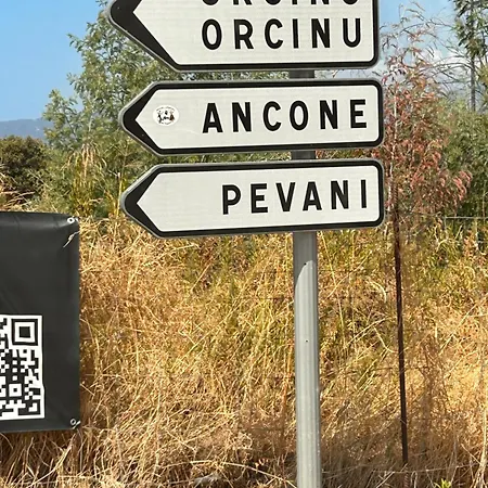 La Belle Vie F4 Bord De Avec Jardin Apartamento Calcatoggio (Corsica)