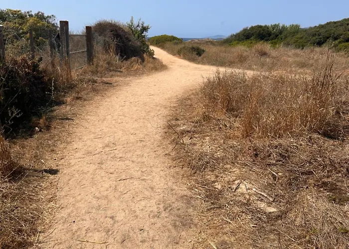 Apartment La Belle Vie F4 Bord De Avec Jardin Calcatoggio (Corsica)