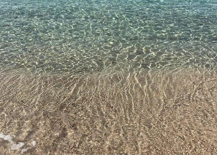 La Belle Vie F4 Bord De Avec Jardin Calcatoggio (Corsica)